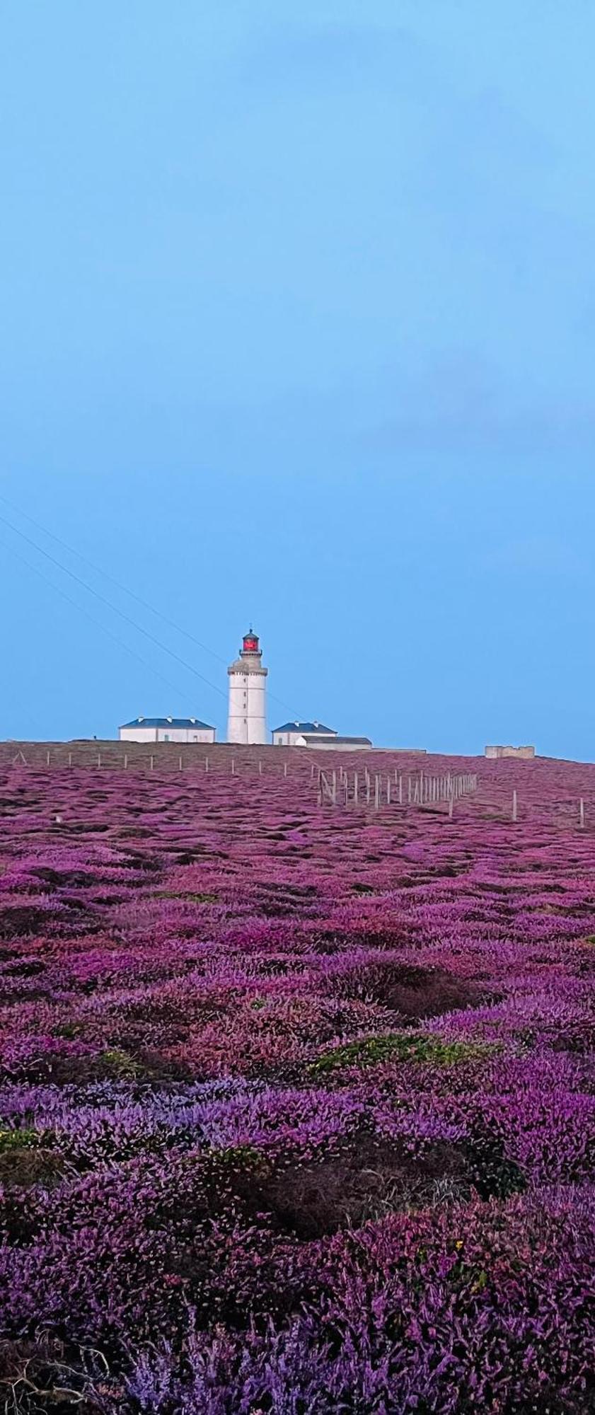 L'Atelier De Mezareun Bed & Breakfast Ushant Eksteriør bilde