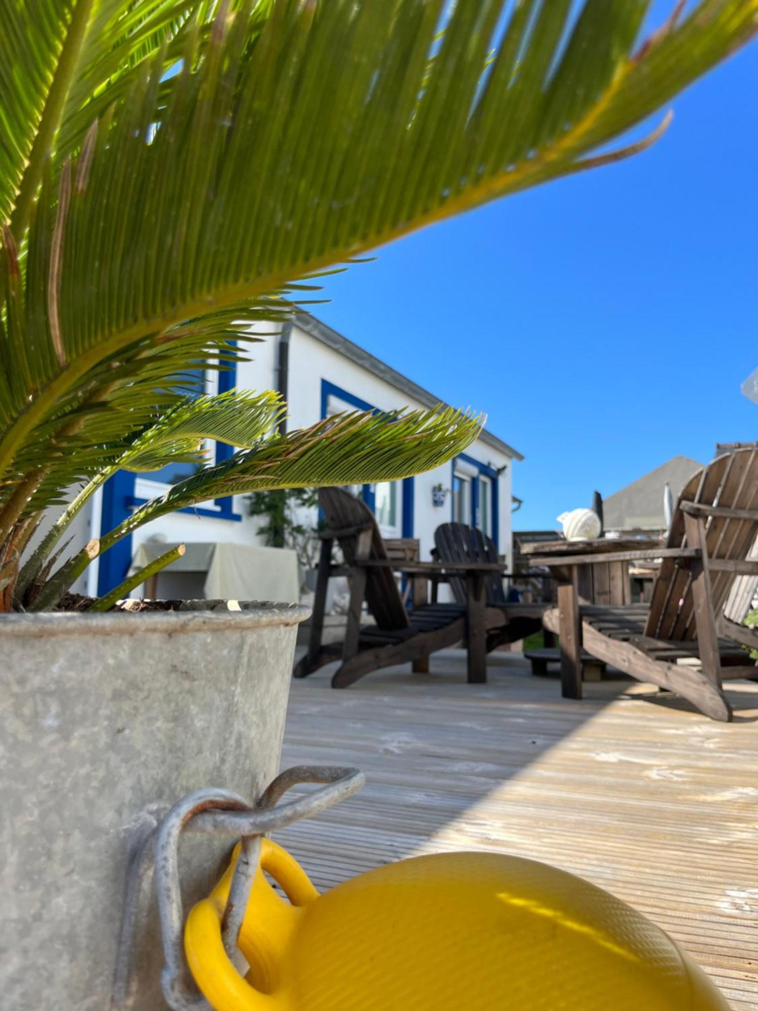 L'Atelier De Mezareun Bed & Breakfast Ushant Eksteriør bilde