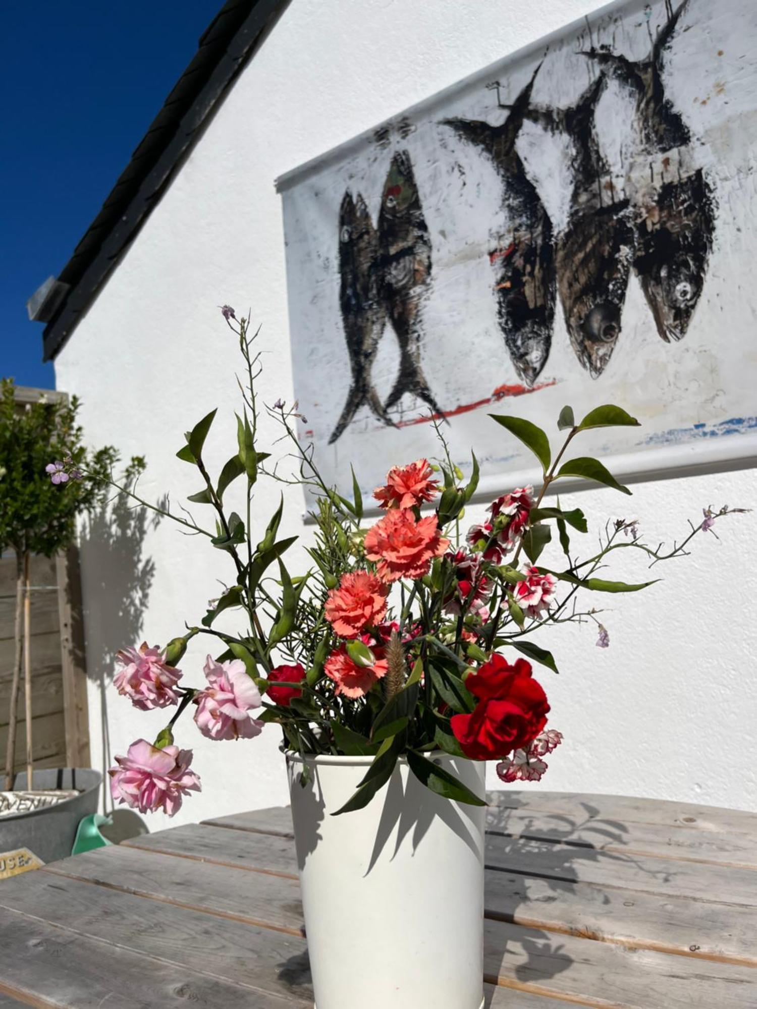 L'Atelier De Mezareun Bed & Breakfast Ushant Eksteriør bilde