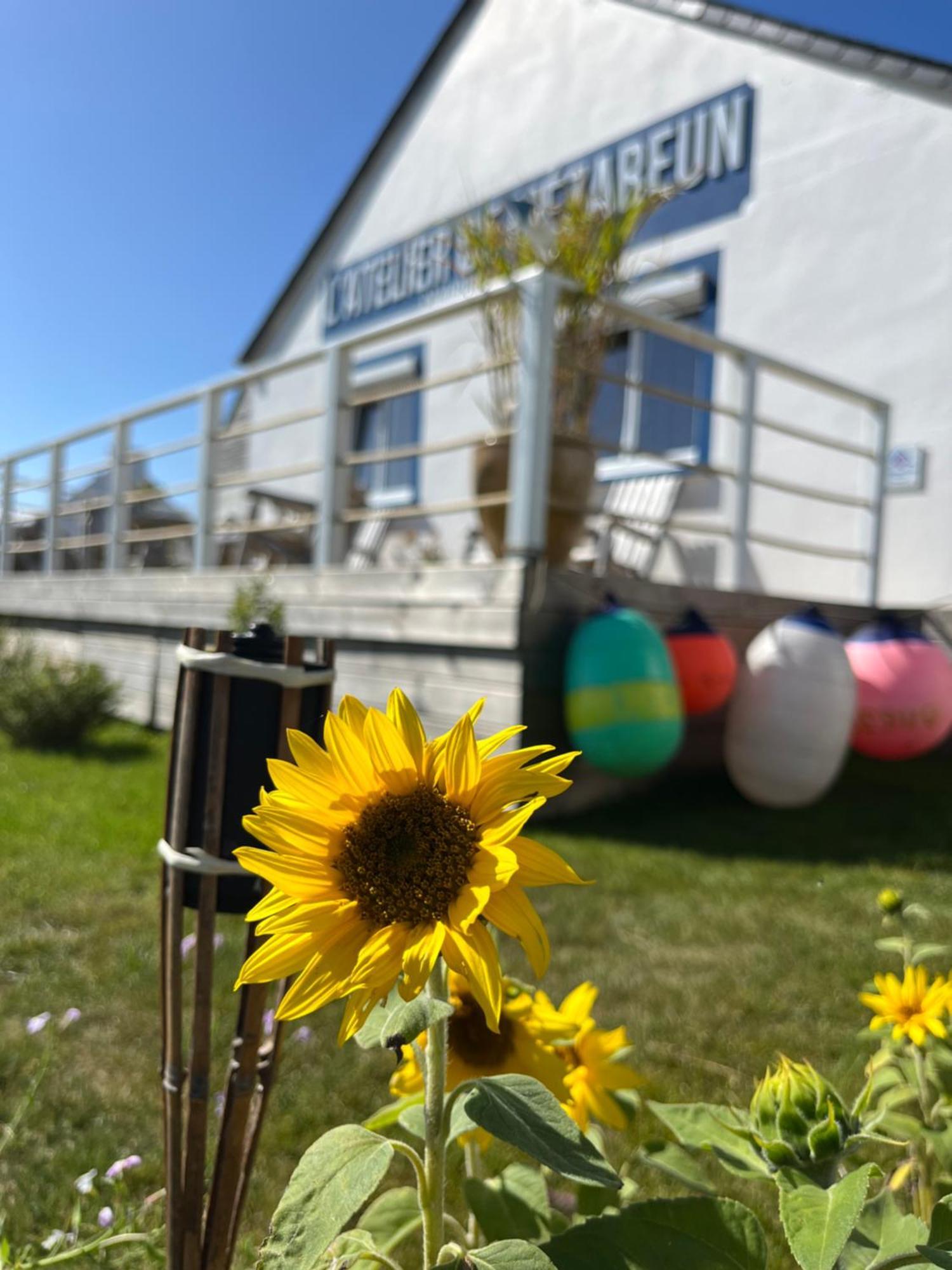 L'Atelier De Mezareun Bed & Breakfast Ushant Eksteriør bilde
